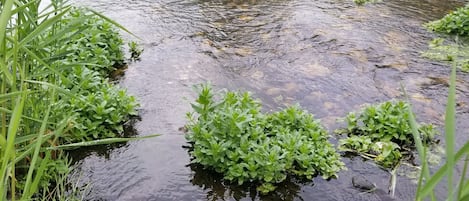 Ulkoalueet