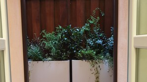 A view through a glass door into a covered patio area with a wooden fence and potted plants. - Exclusive suite in the historic center (Bologna)