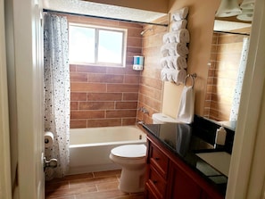 Combined shower/bathtub, hair dryer, towels, soap