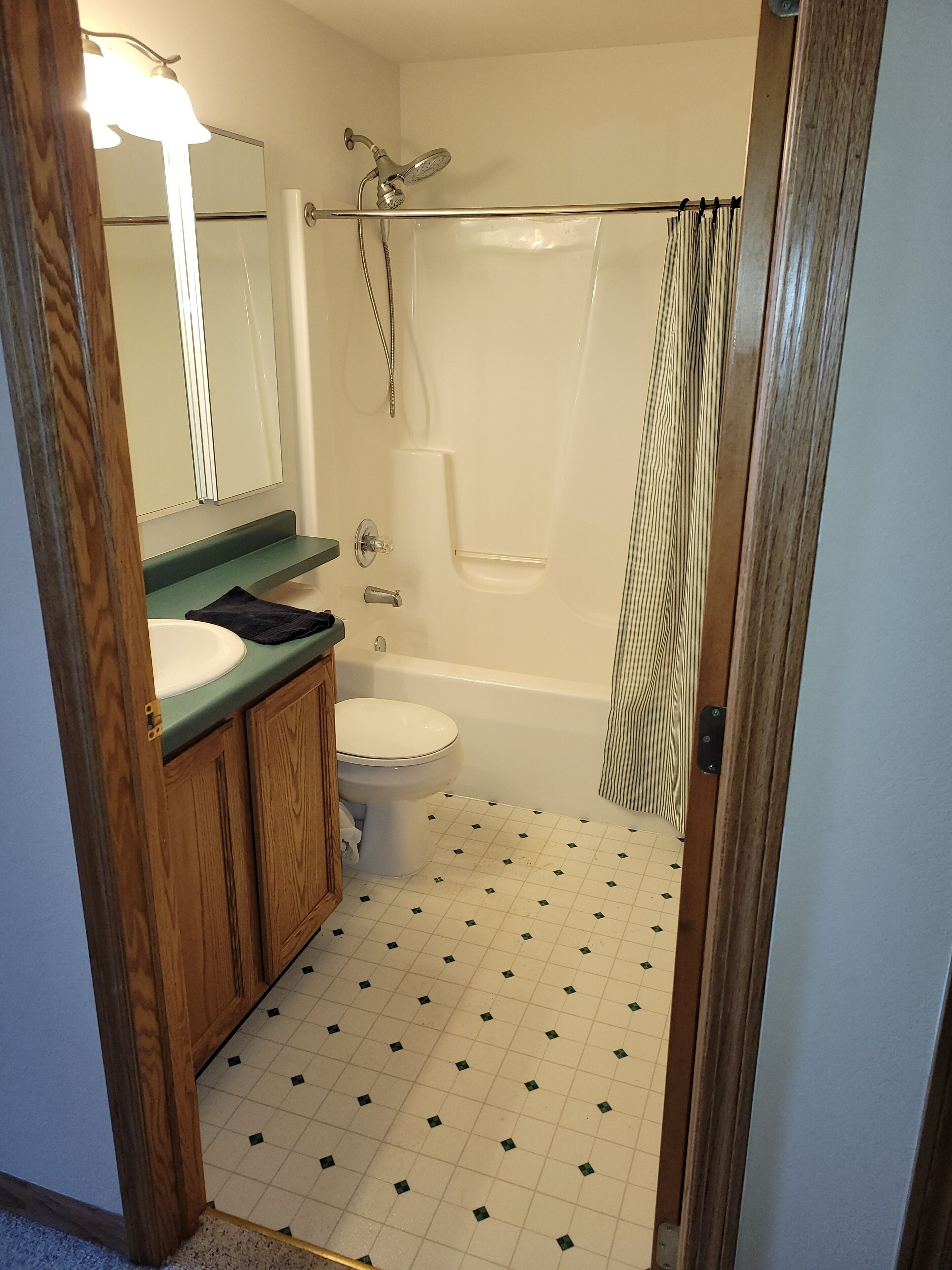 Combined shower/tub, hair dryer