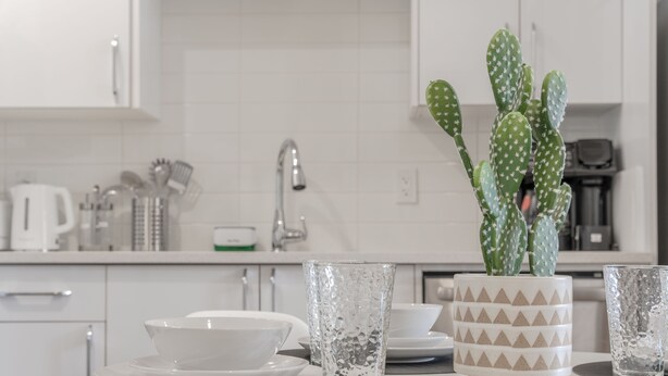 A modern kitchen with white cabinets, a sink, and a cactus plant in a decorative pot. - Enjoy this Brand New Cozy 2BR Guest Suite in YYC! (Calgary)