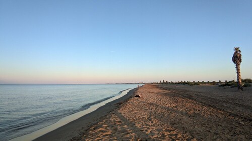 Masía al Delta Mas Midó - Río Ebro