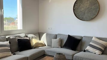 Télévision, cheminée, chaßne hi-fi