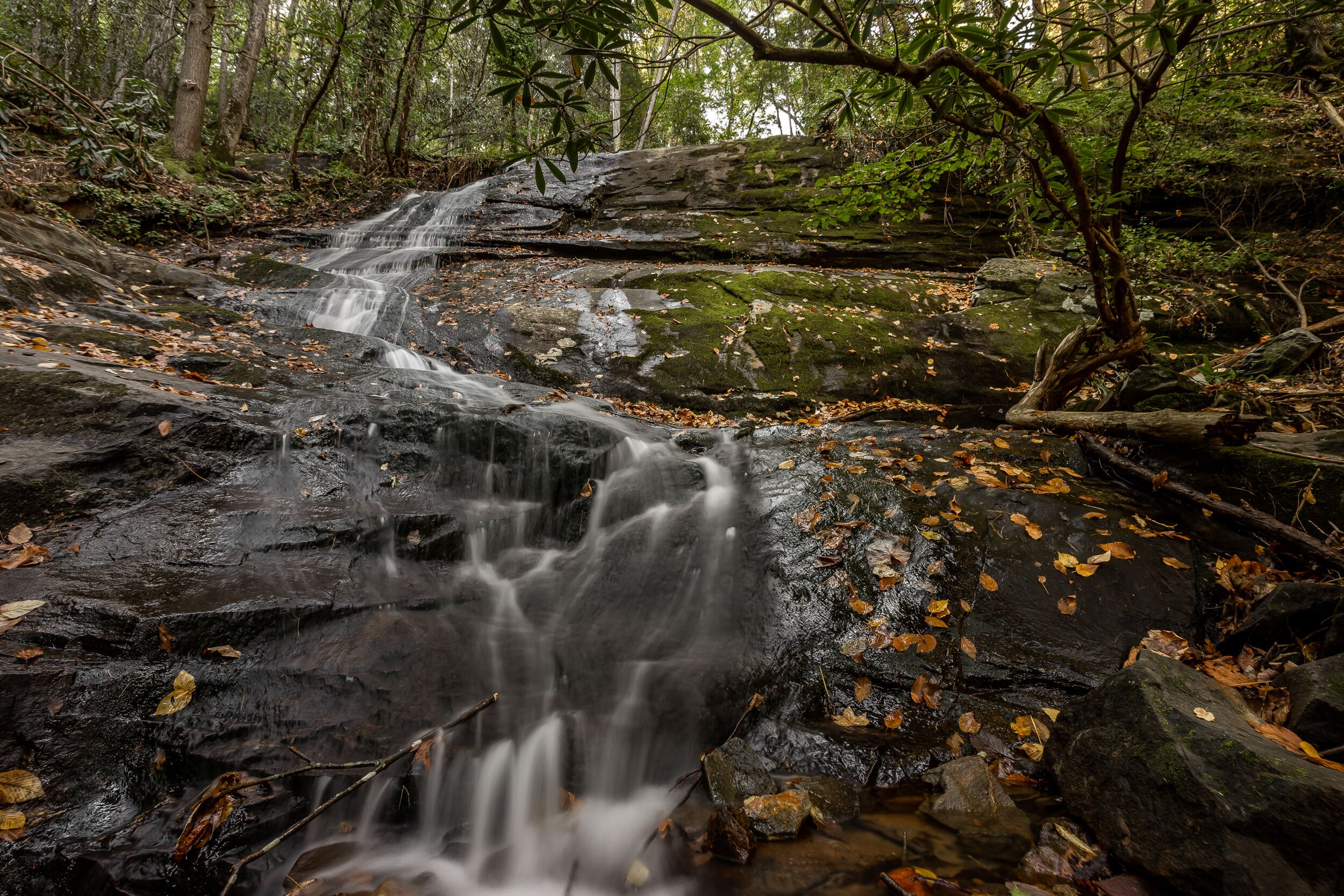 Una cascada en un área boscosa con rocas y hojas caídas.