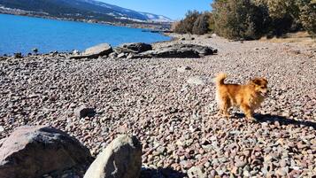 Ein Kiesstrand mit einem Hund, großen Felsen und einem klaren, blauen See mit Bergen im Hintergrund.
