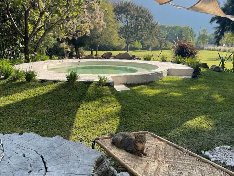 Patio con piscina circular, una hamaca y un espacio con sombra.