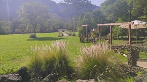 A garden with a stone wall, a wooden pergola, and a pathway leading to a seating area.