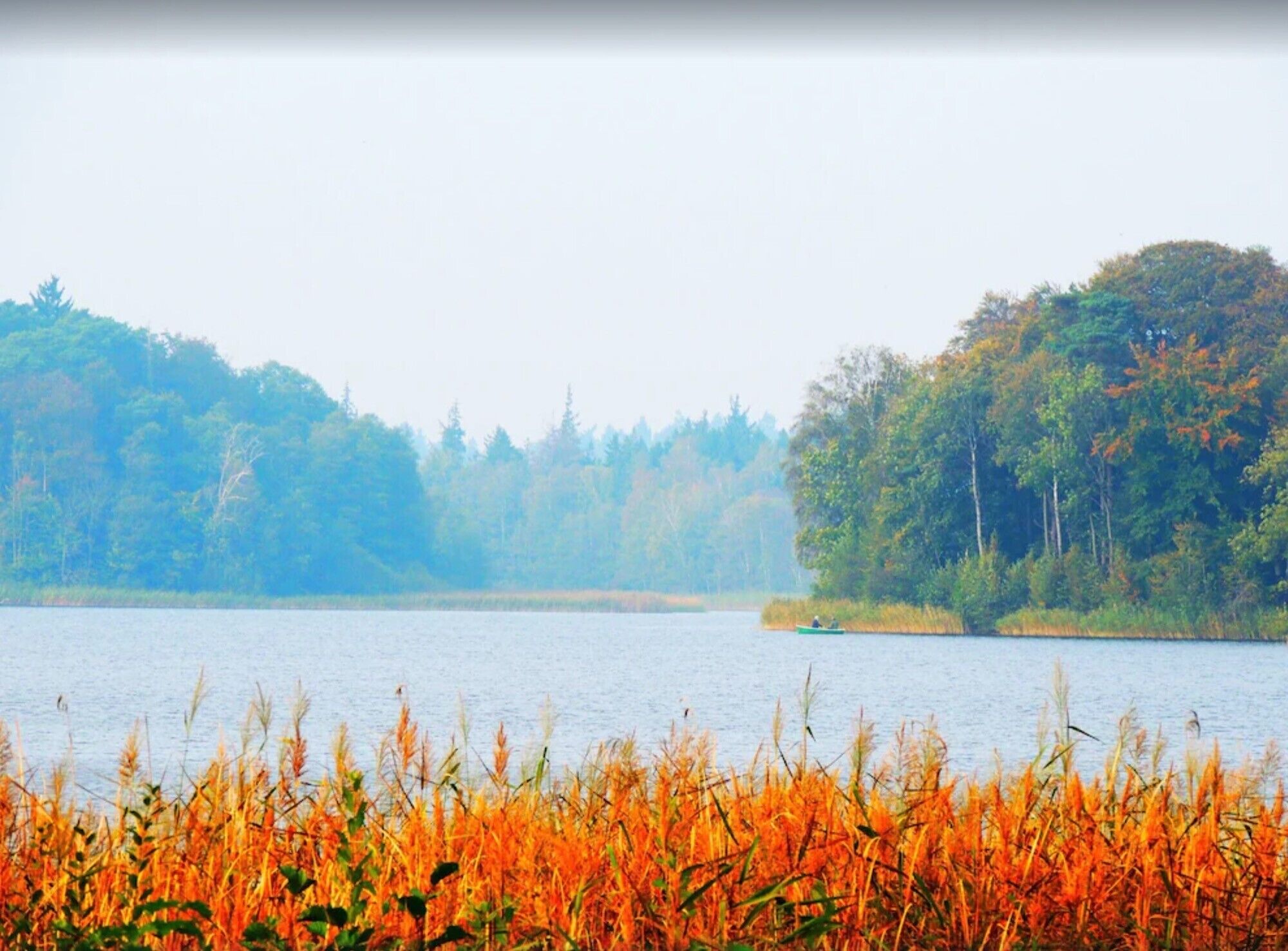 Un lago rodeado de follaje otoñal y un bosque.