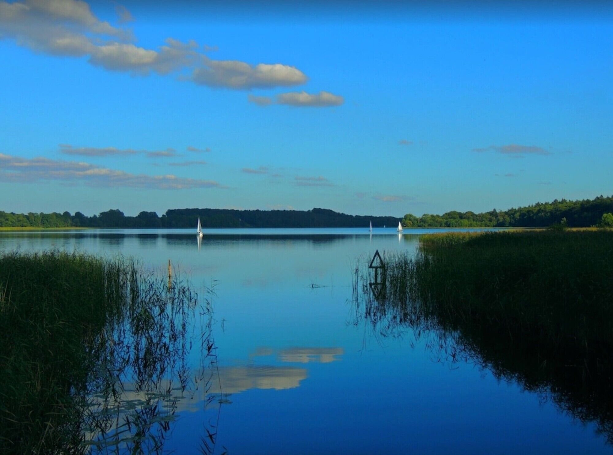 Un lago tranquillo con cielo sereno, circondato da vegetazione e una linea di alberi in lontananza.