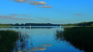 Un lago tranquillo con cielo sereno, circondato da vegetazione e una linea di alberi in lontananza.
