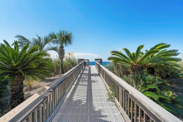 A wooden boardwalk leading to a beach with palm trees on both sides.
