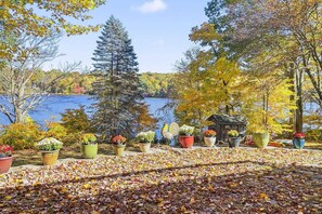 Property grounds - Cottage at Sunny Day- Lakeside, views, kayak, dock (Newtown)