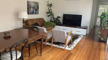 Smart TV, fireplace, DVD player, books