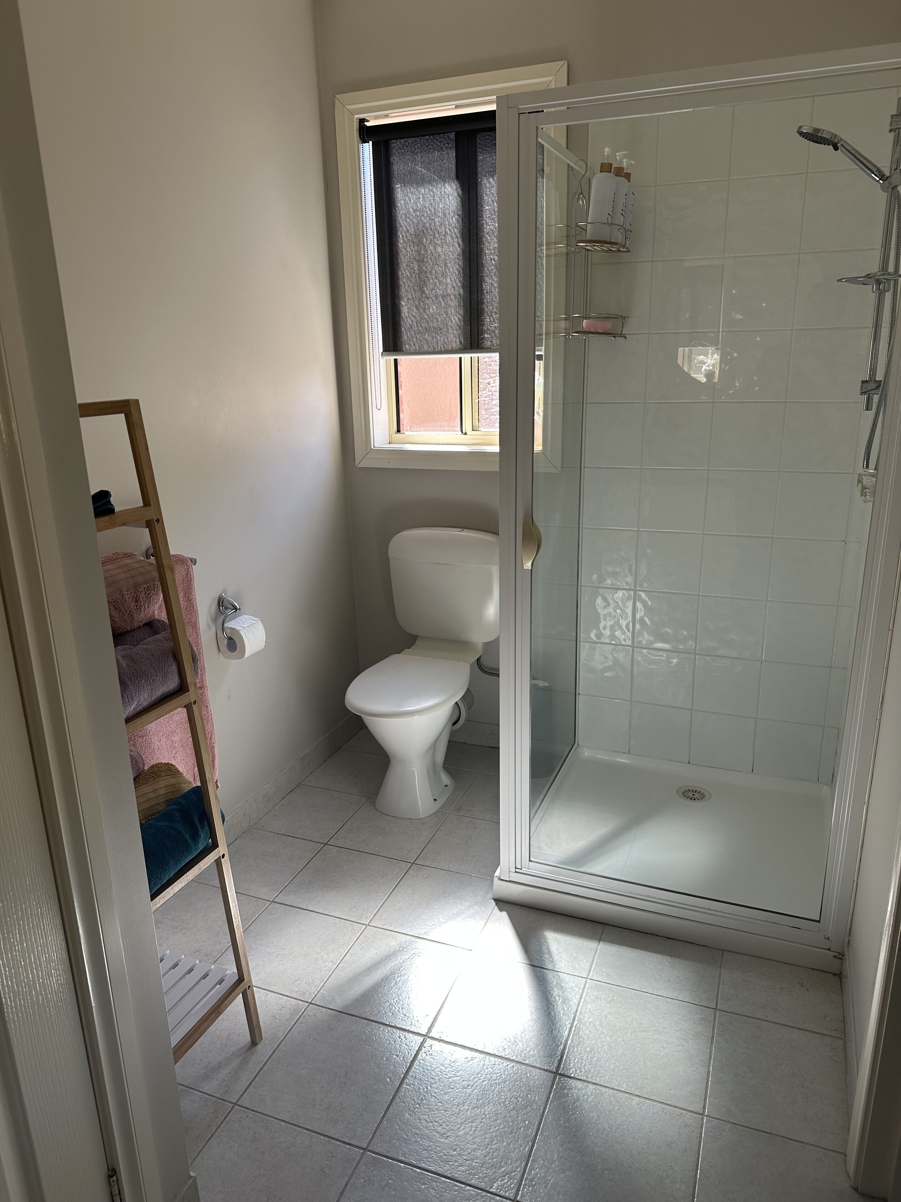 A bathroom with a toilet, a glass-enclosed shower, and a wooden ladder.