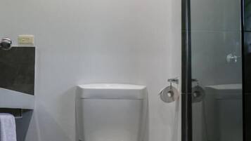 Hydromassage showerhead, free toiletries, hair dryer, towels