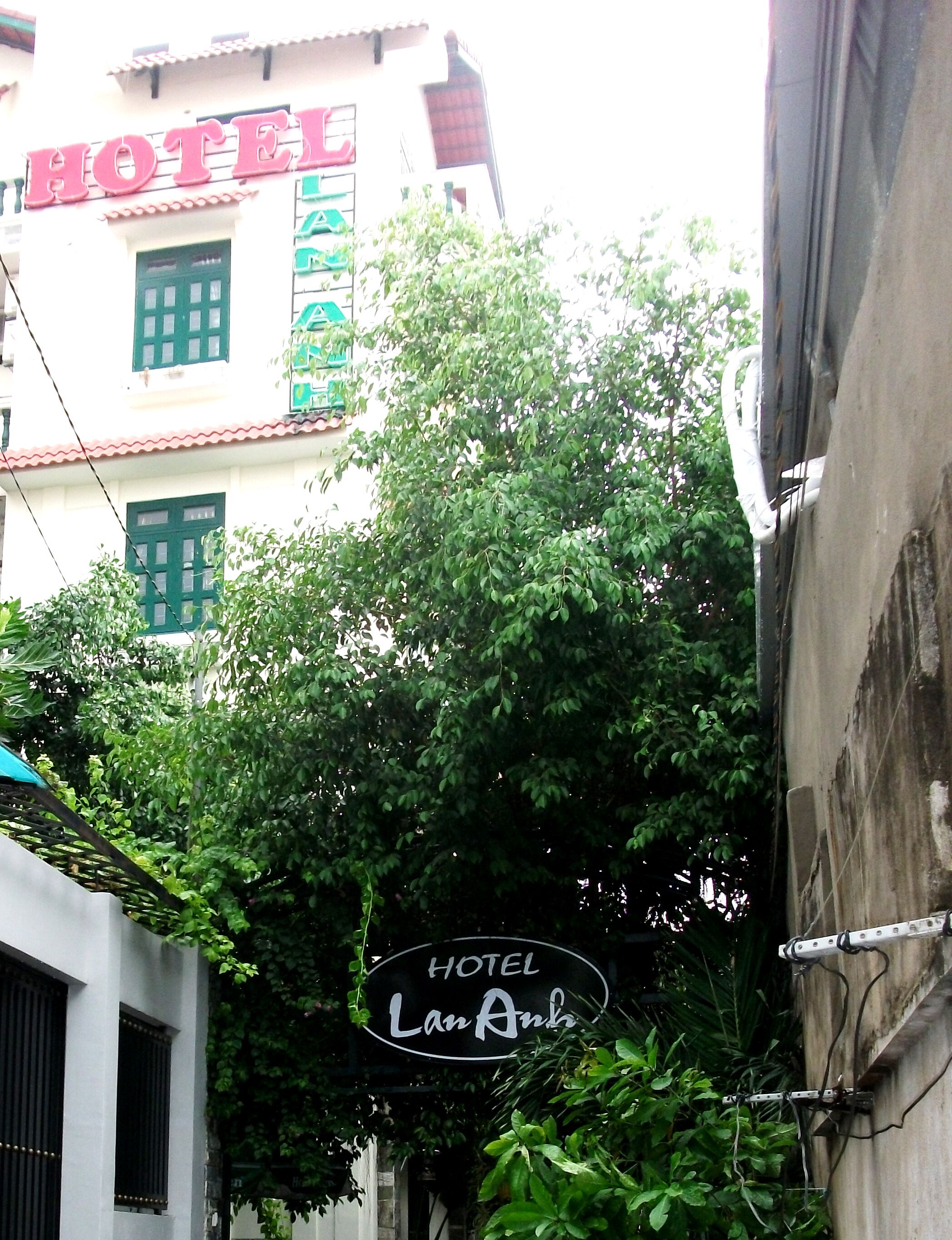 Photo - Lan Anh Hotel