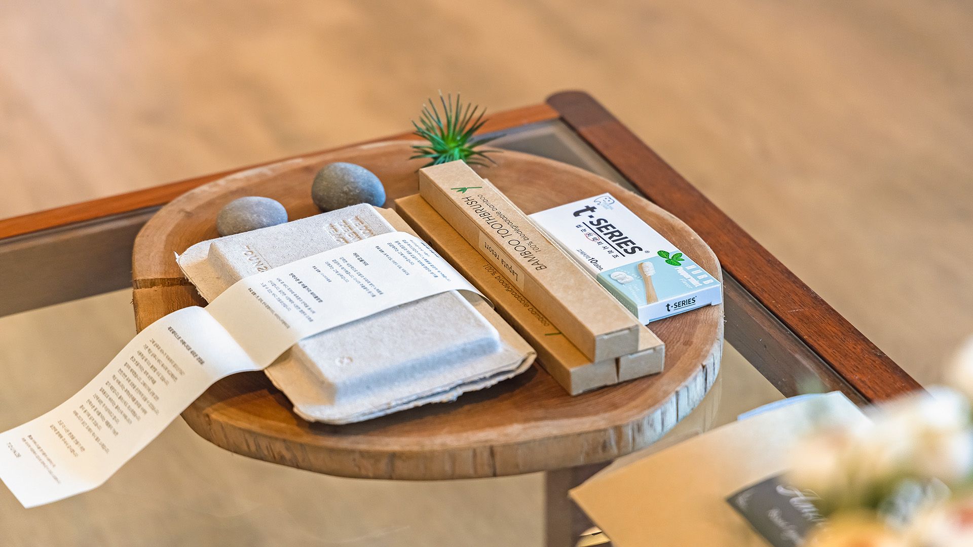 A wooden tray with a toothbrush, toothpaste, and a small plant.