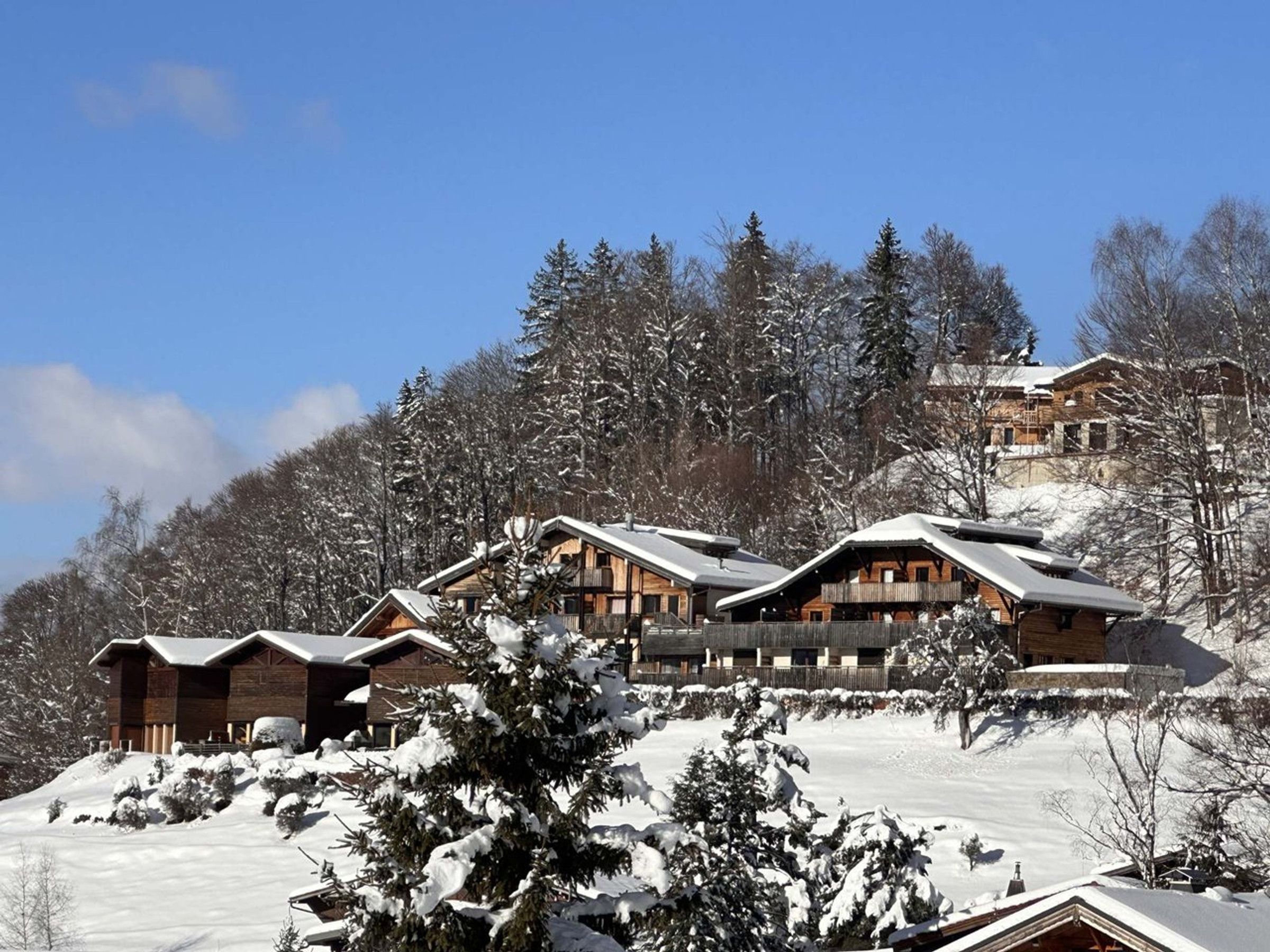 A cluster of wooden cabins with sloped roofs, surrounded by snow-covered trees and a clear blue sky.