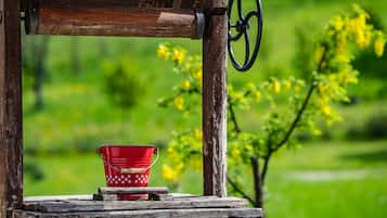 A rustic wooden table with a red bucket and a wooden spoon.