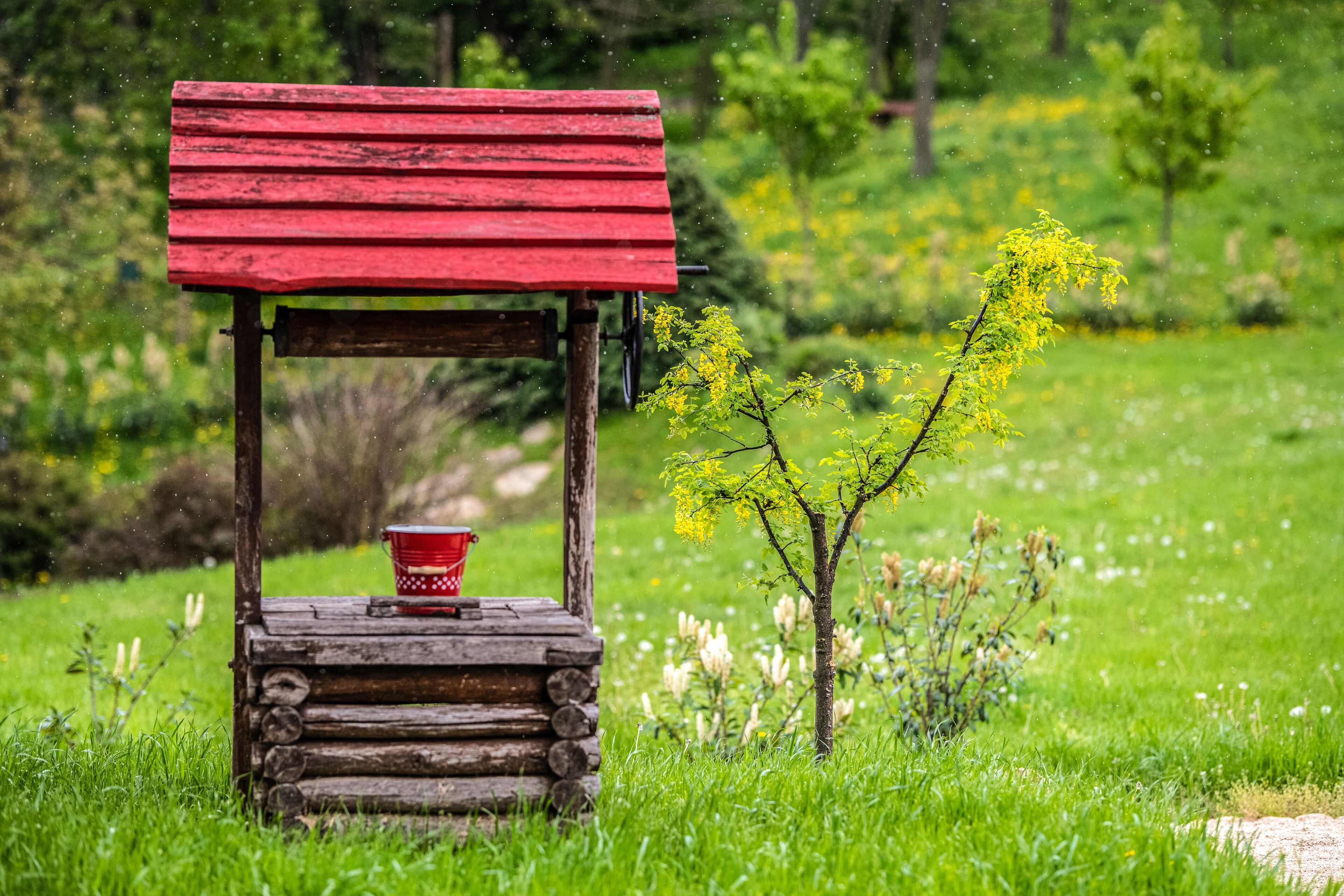 A wooden bench with a red top and a red bucket on it, surrounded by green grass and trees.