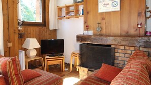 Un salon chaleureux avec un téléviseur, des étagères en bois, une cheminée et des coussins à rayures.