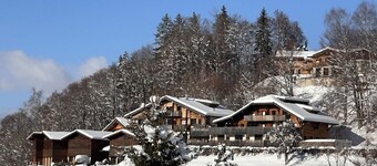 Cozy 1BR + Alcove, WiFi, Parking, Near Slopes & Shops!