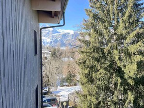 Overlooking a serene mountain range, this room offers breathtaking views of the surrounding landscape.