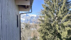 Vista desde una ventana a un paisaje nevado, con montañas a lo lejos y un árbol frondoso en primer plano.