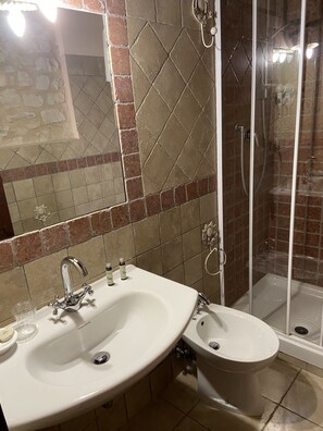 Shower, hair dryer, bidet, towels