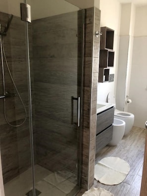 Shower, hair dryer, bidet, towels