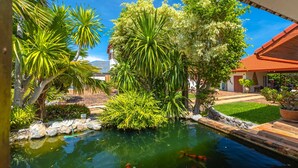 A koi pond surrounded by tropical plants and a stone pathway. - Tropical 6 Bedroom Villa Sanctuary (Hua Hin)