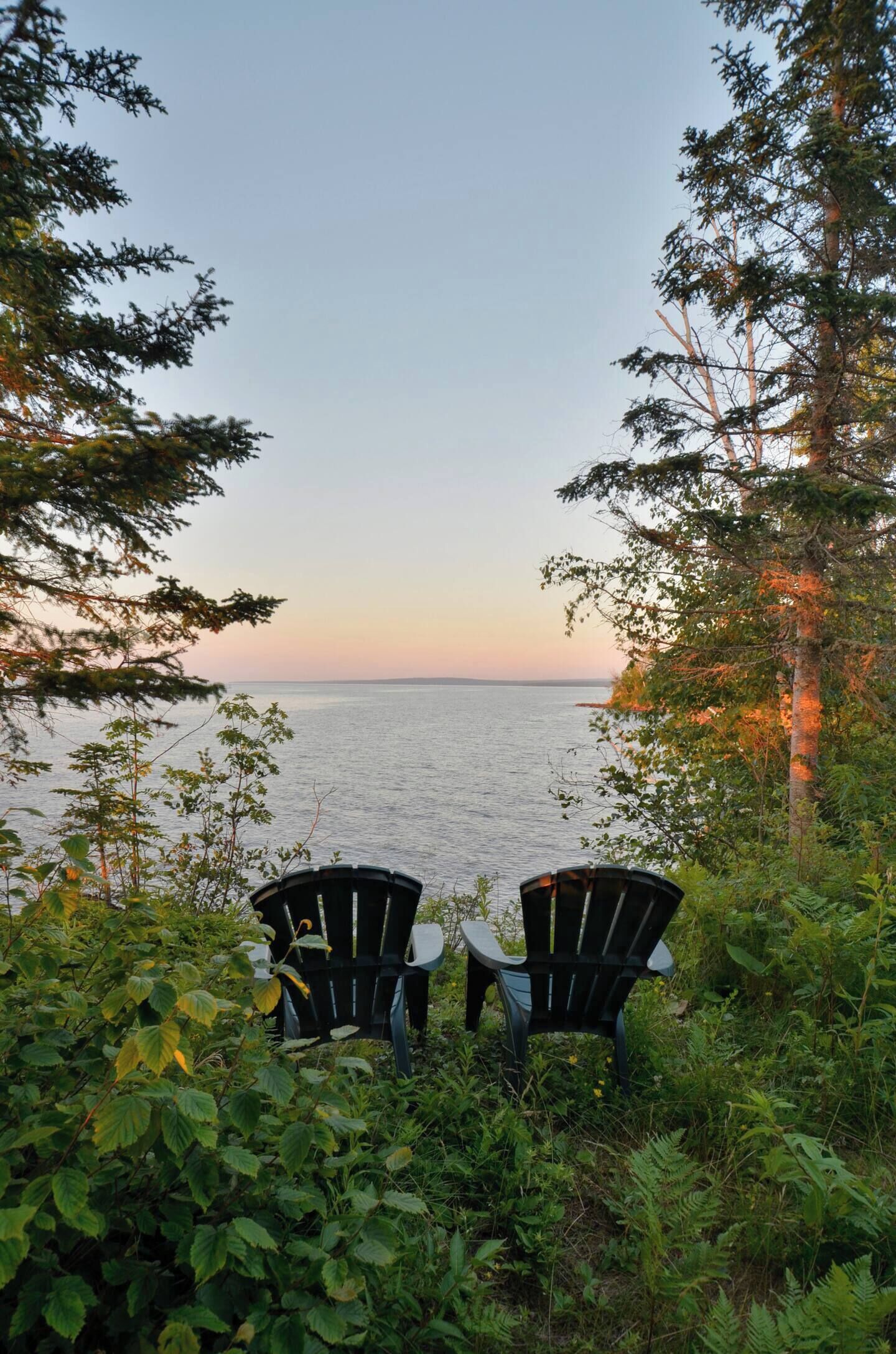 Área da propriedade