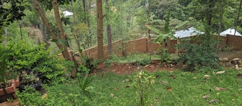 shembwana home stay