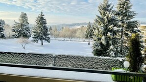 A snowy landscape with trees and a distant view of buildings. - Vacation apartment with a view (Sankt Englmar)