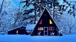 Een chalet met een puntig dak, omringd door met sneeuw bedekte bomen.