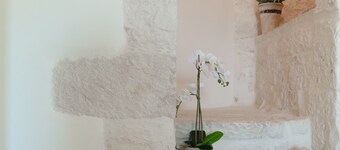 Apartment in the center with breathtaking views of the Valle D'itria