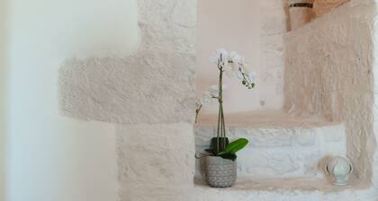 Apartment in the center with breathtaking views of the Valle D'itria