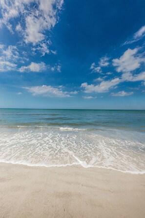 Beach nearby - White Dunes condo in Indian Rocks Beach (Indian Rocks Beach)