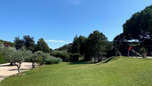 Eine gepflegte, grüne Wiese mit Bäumen und blauem Himmel.