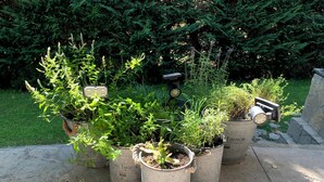 Ein Garten mit Blumentöpfen und einer Überwachungskamera.