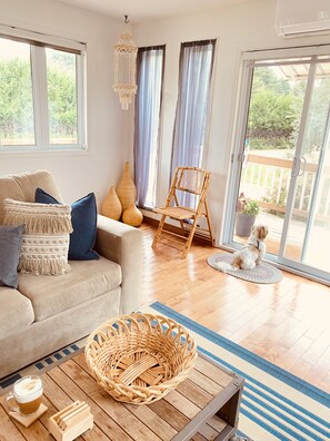 تلفزيون ذكي، مدفأة، كُتُب، مكتبة موسيقى