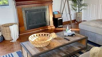 TV connectée, cheminée, livres, médiathÚque