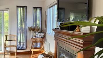 TV connectée, cheminée, livres, médiathÚque