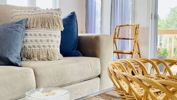 TV connectée, cheminée, livres, médiathÚque