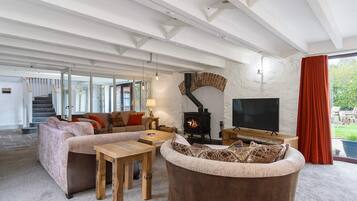 Smart-tv, pejs, dvd-afspiller