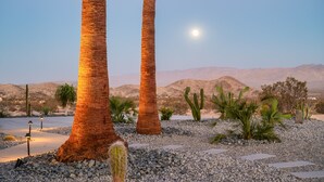 Un paysage désertique avec des palmiers, des cactus et un ciel dégagé.