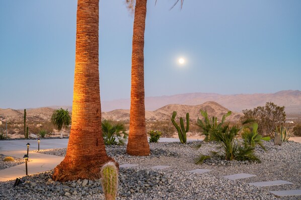 A desert landscape with palm trees, cacti, and a clear sky.
