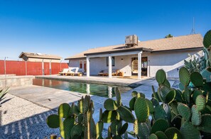 A poolside area with a pool, a covered patio with seating, and a cactus in the foreground.