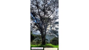 Miscellaneous - Country house full equipment in Oxapampa. (Pasco)