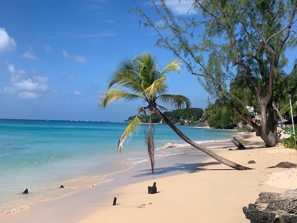 Playa en los alrededores, camastros y toallas de playa
